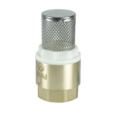 Клапан обратный с фильтром 1дюйм (80/10) К VALFEX VF.161.NS.100