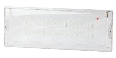 Светильник светодиодный DPA-301-0-65 40LED 3ч IP65 аварийный непостоянный Эра Б0044405